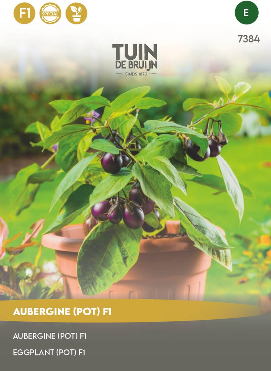 Tuin de Bruijn® zaden - Potaubergine F1 - Een klein blijvende plant