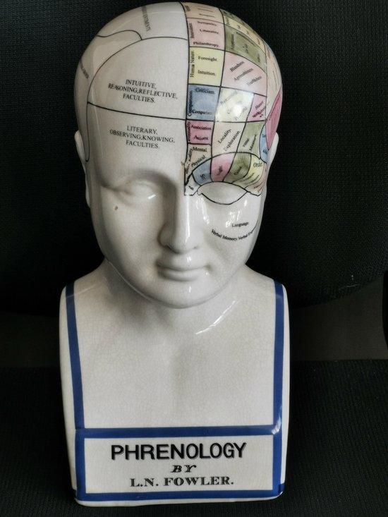 Buste Phrénologie Ancien, Tête En Porcelaine, 26 Cm, Médecine