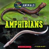 Wild World - Amphibians (Wild World: Fast and Slow Animals)