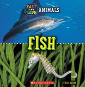 Wild World - Fish (Wild World: Fast and Slow Animals)