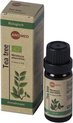 Aromed Tea Tree olie - 10 ml - Biologisch - Etherische olie