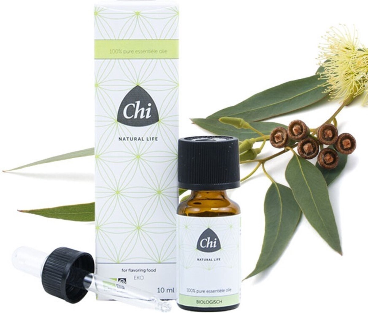 Goedkoopste Chi Eucalyptus - 10 ml - Etherische Olie