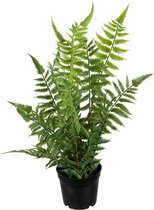 Louis Maes kunstplanten - Bosvaren - groen - in pot - 38 cm