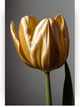 Gouden tulp poster - Goud poster - Poster tulp - Retro poster - Slaapkamer posters - Woonaccessoires - 60 x 90 cm