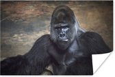 Poster Portret afbeelding van een zwarte Gorilla - 30x20 cm