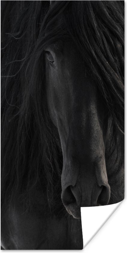 Affiche Cheval - Frison - Portrait - 40x80 cm