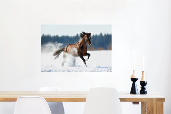 Poster Paard - Sneeuw - Winter - 90x60 cm
