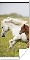 Poster Paarden - Dieren - Gras - 80x160 cm