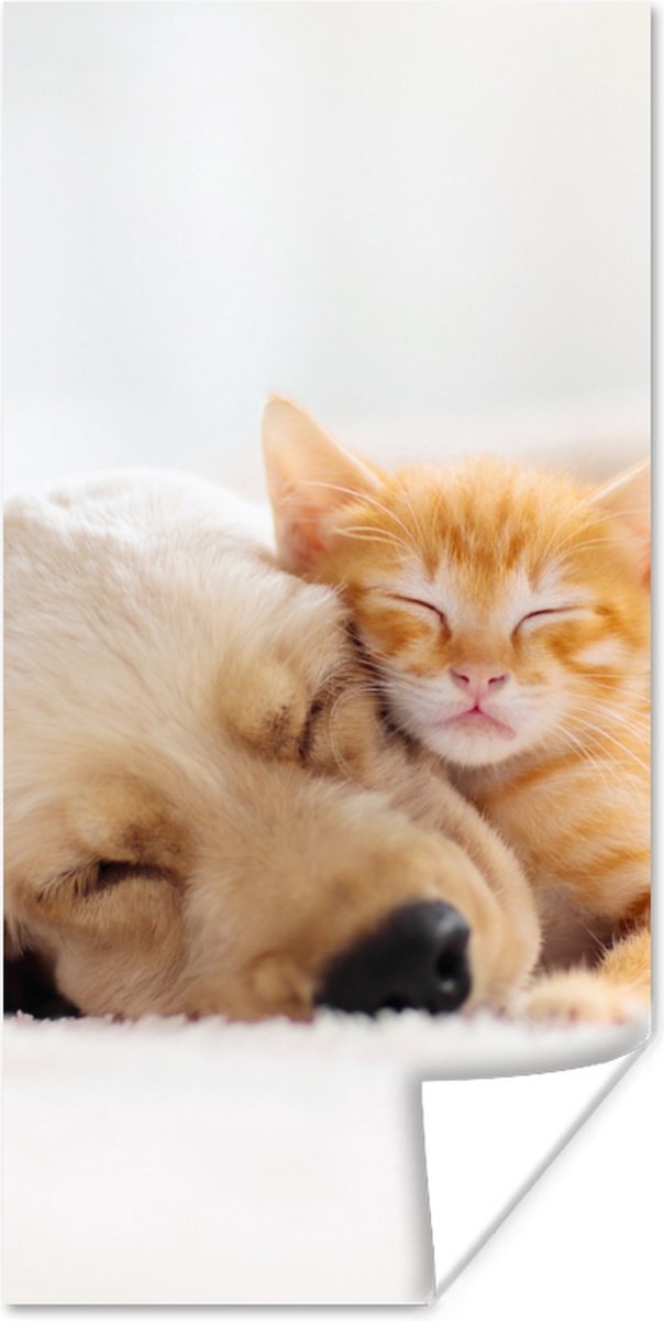 Poster Dieren - Hond - Kitten - Rood - 60x120 cm