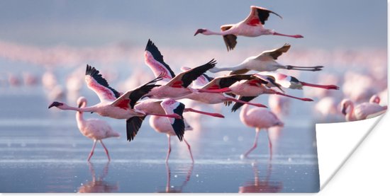 Poster - Fotolijst - Flamingo - Zee - Water - Vogel - Tropical - Frame - 80x40 cm - Poster met lijst - Posterlijst - Poster flamingo - Poster kader - Muurdecoratie
