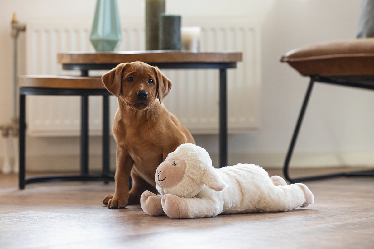 Beeztees Puppy Heartbeat Knuffel Bowi - Puppy Speelgoed - Puppyknuffel - Hondenspeelgoed - Pluche - Wit - 42x18x12 cm thumbnail 2