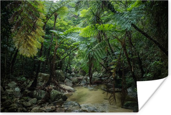Poster Riviertje in tropische jungle - 90x60 cm