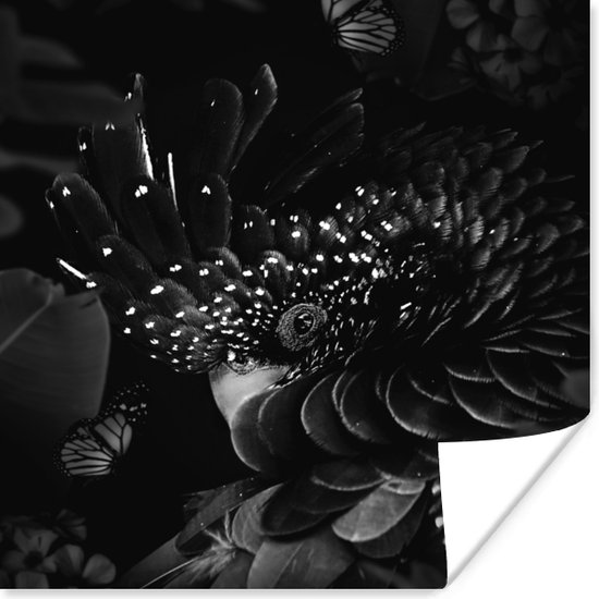 Poster Portret van een kaketoe omringd door vlinders - zwart wit - 100x100 cm XXL