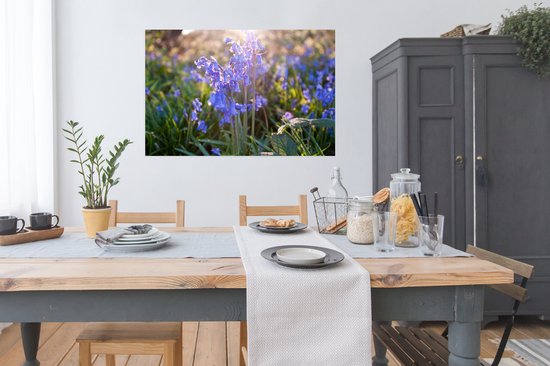 Poster Fleurs violettes de la jacinthe étoilée au lever du soleil 120x80 cm - Tirage photo sur Poster (décoration murale salon / chambre)