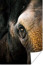 Poster Olifant - Close up - Dieren - Natuur - 120x180 cm XXL