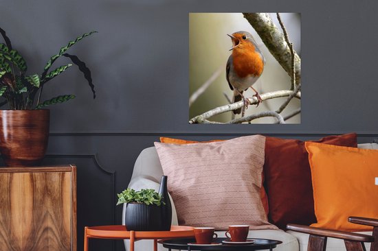Affiche Robin sur une branche d'arbre 50x50 cm - Tirage photo sur Poster (décoration murale salon / chambre)