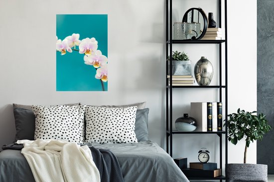 Affiche Orchidée - Fleurs - Plante - Wit - Violet - 60x90 cm
