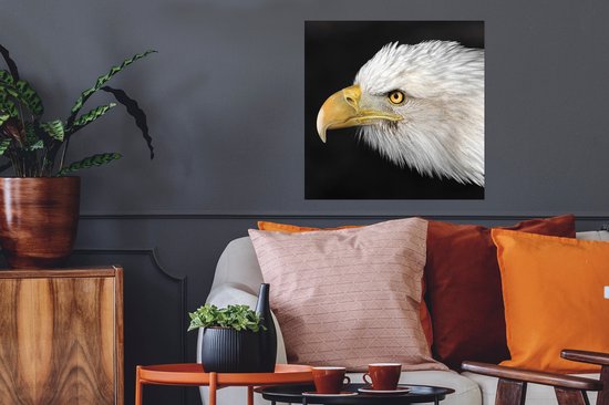 Poster Aigle - Vogel - Bec - Yeux - 50x50 cm