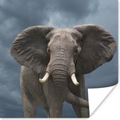 Poster Olifant - Wolken - Dieren - Natuur - 50x50 cm