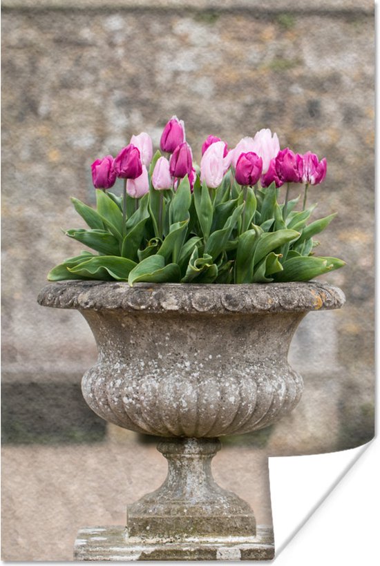Poster Een stenen plantenbak met roze tulpen - 60x90 cm