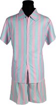 Blouse Kenneth Heren - Pastel Blauw/ Pastel Roze - Overhemd Heren - Verkleedkleren Mannen - Maat S