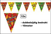 12x Vlaggenlijn Vastelaovend Same 10 meter - Dubbelzijdig bedrukt - Carnaval thema feest party festival