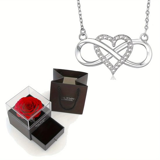 Elegante Infinity Hartvormige Hanger Ketting Met Luxe Roos Geschenkdoos Voor Vriendin Vrouw Kerst Valentijn Jubileum Cadeau - Wit