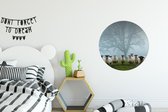 Flock in the mist Cercle mural aluminium ⌀ 60 cm - impression photo sur cercle mural / cercle vivant / cercle de jardin (décoration murale)