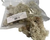 Rendiermos, mos Naturel 50 gram. Geschikt voor decoraties, mosschilderijen, moswanden, bloemstukjes