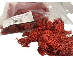 Rendiermos, mos Sienna 50 gram. Geschikt voor decoraties, mosschilderijen, moswanden, bloemstukjes