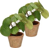 Kunstplant pilea/pannekoekplant - 2x - groen - in pot - 25 cm