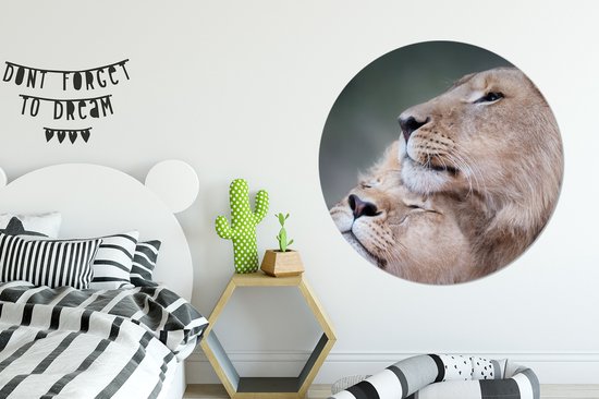 WallCircle - Wandcirkel - Muurcirkel - Leeuw - Wilde dieren - Big Five - Aluminium - Dibond - ⌀ 140 cm - Binnen en Buiten