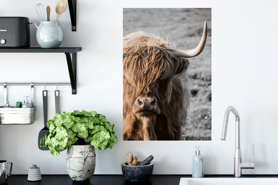 Stickers Stickers muraux - Highlander écossais - Animal - Soleil - 40x60 cm - Feuille adhésive