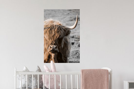 Stickers Stickers muraux - Highlander écossais - Animal - Soleil - 40x60 cm - Feuille adhésive