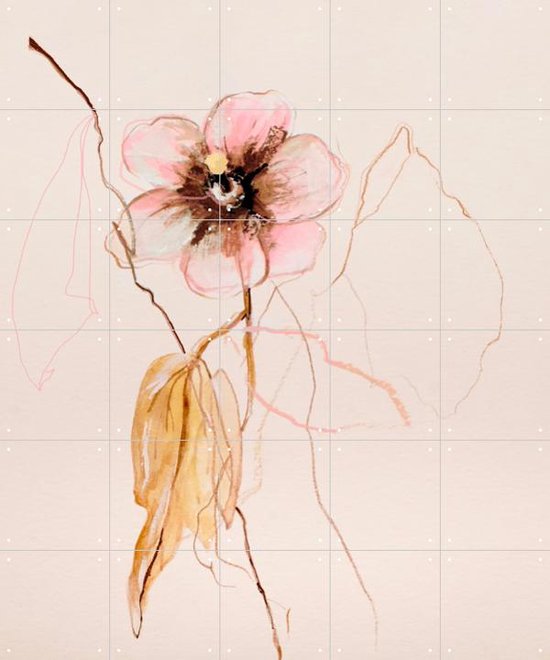 IXXI Flower Study Hibiscus Syriacus - Wanddecoratie - Bloemen en Planten - 100 x 120 cm