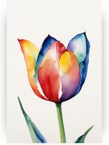 Kleurrijke tulp poster - Waterverf poster - Posters bloemen - Poster vintage - Slaapkamer posters - Woonaccessoires - 40 x 60 cm
