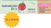 Vademecum Bio Aardbei - Tandpasta zonder fluoride - Voor kinderen 1-6 jaar - 99% ingrediënten van natuurlijke oorsprong - 12 x 50 ml