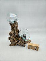 Decoratief Beeld - Glazen Kom Op Stronk - Glas En Hout