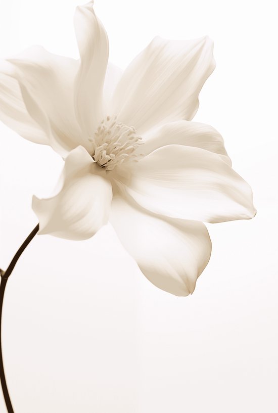Poster Witte Lotus | Poster Bloemen | Bloemenposter | Kamer Decoratie | Posterdecoratie | 51x71cm | Wanddecoratie | Muurposter | YR | Geschikt om in te lijsten
