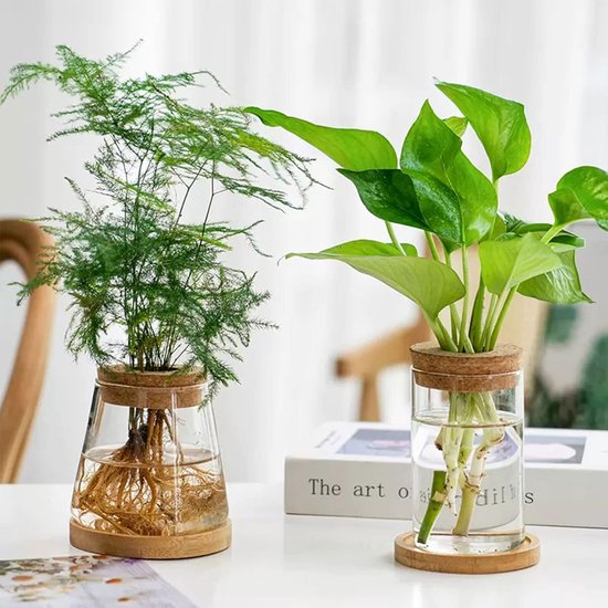 Plantenvermeerdering terrarium, 2 stuks heldere plantenstekken houder desktop plant glazen vaas pot bloem