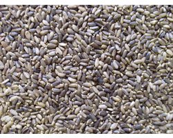 Vogelvoer- Vogelzaden- Mariadistelzaad- Mariendistelzaad- 2 Kilo