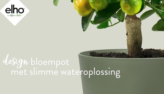 Jouw Elho Greenville rond Large wit Bestellen