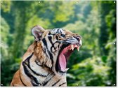 Affiche de jardin tigre rugissant dans la forêt 200x100 cm - Photo sur affiche de jardin / Peintures pour l'extérieur (décoration de jardin)