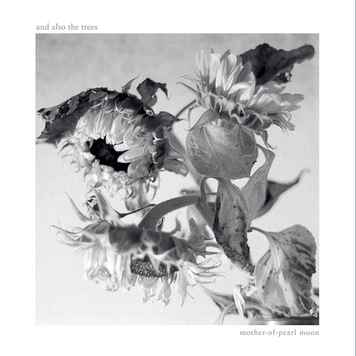 And Also The Trees - Mother-Of-Pearl Moon (CD)