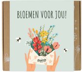 Blossombs Giftbox Medium - Bloemen voor jou - Moederdag - Verjaardag - 9 Zaadbommetjes - bijen en vlinders