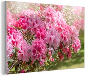 Couleurs d'été de l'hortensia Aluminium 60x40 cm - Tirage photo sur aluminium (décoration murale en métal)