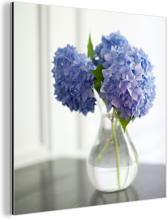 Hortensias bleus dans un vase Aluminium 50x50 cm - Tirage photo sur aluminium (décoration murale en métal)