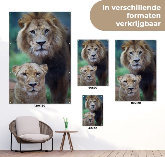 Poster Jardin Lion et Lionne 40x60 cm - petit - Toile de jardin / Toile d'extérieur / Peintures d'extérieur (décoration de jardin)