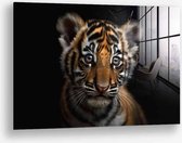 Wallfield™ - The Tiger Cub | Glasschilderij | Gehard glas | 80 x 120 cm | Magnetisch Ophangsysteem