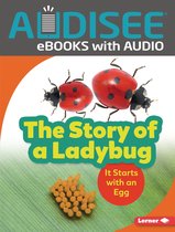 Step by Step - The Story of a Ladybug